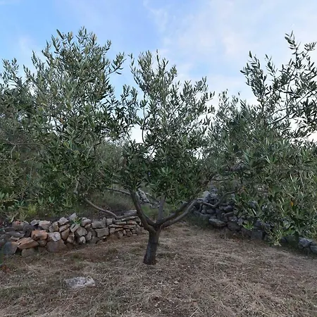 Marko Apartament Gdinj